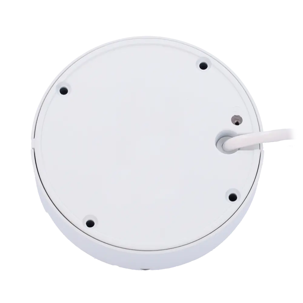 detalle3 - 2025-07-16T125223.934.webp