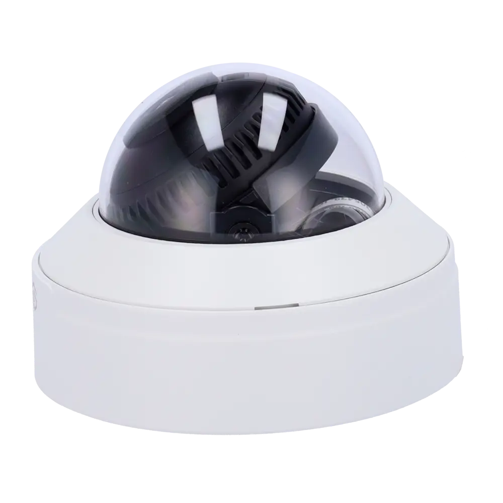 detalle2 - 2025-07-16T125220.077.webp