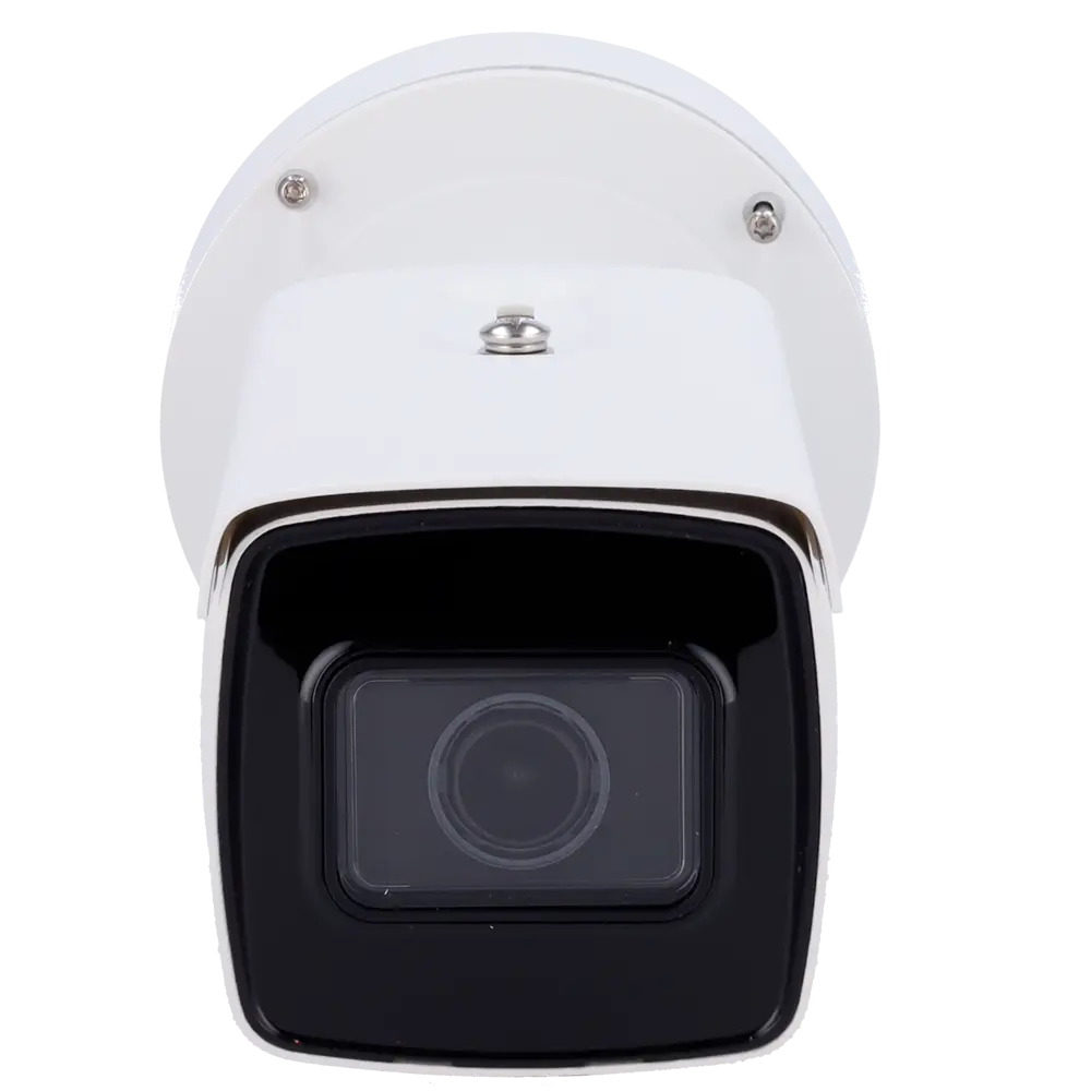 detalle1 - 2025-09-11T100626.556.webp