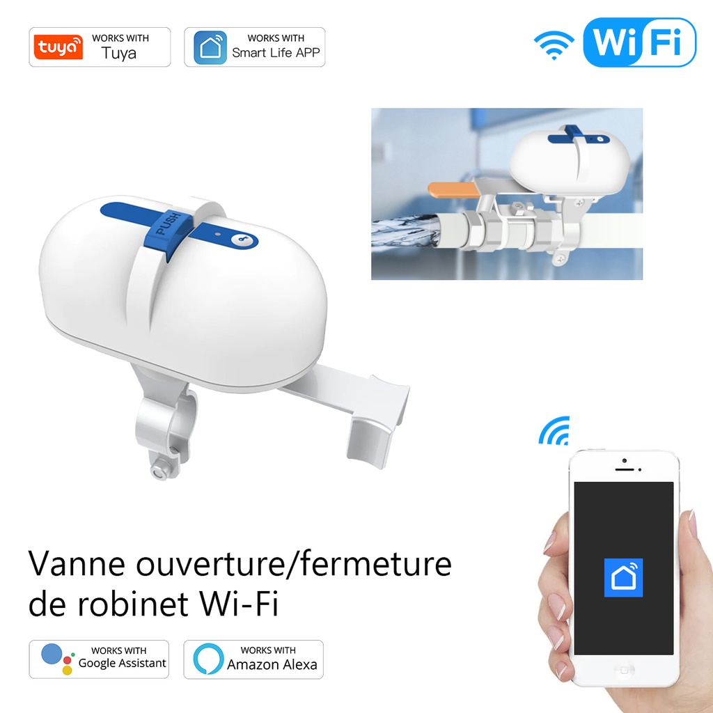 WV-QY-EU-EN