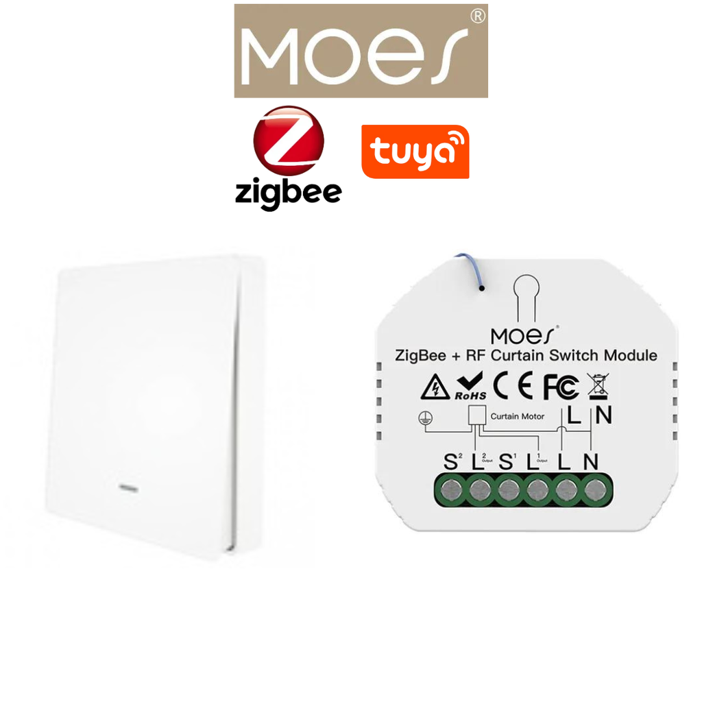 PACKMO-Z-ECL-1