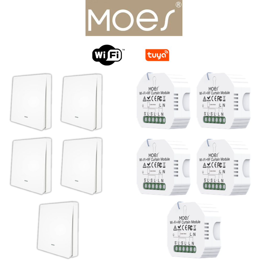PACKMO-W-ECL-5