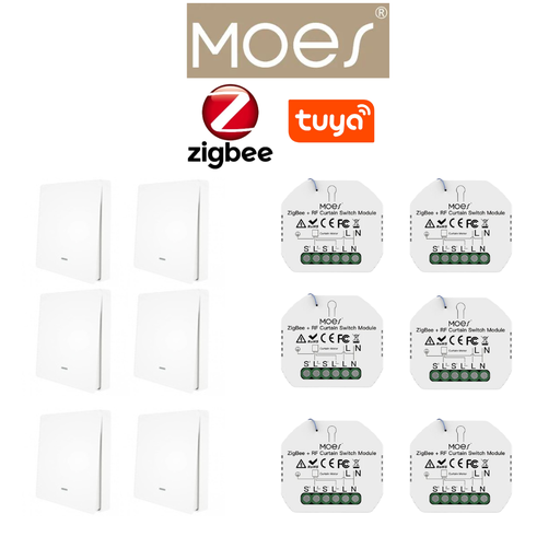 [PACKMO-Z-ECL-6] PACKMO-Z-ECL-6