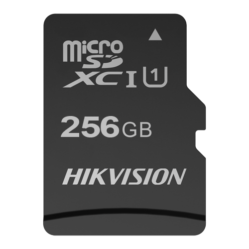 [HS-TF-C1STD-256G] HS-TF-C1STD-256G